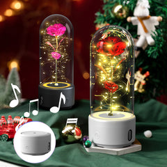 Luminous Rose Speaker Gift