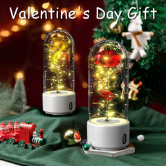 Luminous Rose Speaker Gift