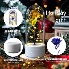 Luminous Rose Speaker Gift